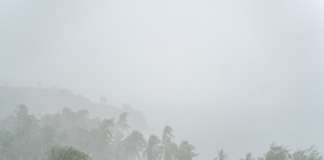 WSD: Heavy Rain Leads to Blockages at All Surface Water Intakes Heavy tropical rain darkening the sky