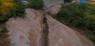 WSD Activity for July 28, 2025