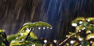 WSD Manager Explains Why Water Source Discovery Trumps Storage Expansion