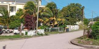 Roadwork in Full Swing Near Sugar Factory Road, Basseterre